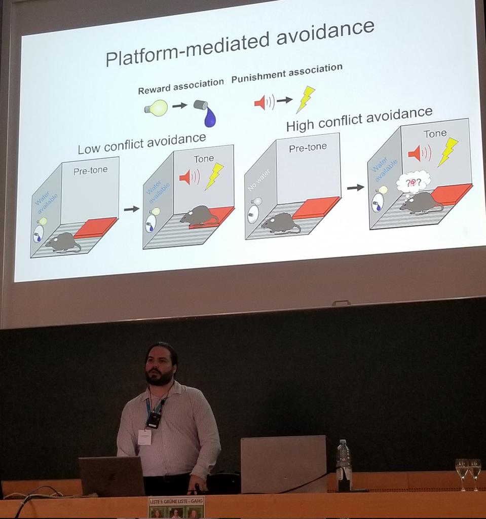 Yarimar Carrasquillo (@yarcarlab) on Twitter photo El gran <a href="/CBravoRivera/">Christian Bravo</a> sólidamente representando nuestra isla en el #EBPS meeting en Alemania. Outstanding talk on brain circuits mediating behaviors during reward/punishment conflict. #ProudBoricua 🇵🇷🧠 El gran <a href="/CBravoRivera/">Christian Bravo</a> sólidamente representando nuestra isla en el #EBPS meeting en Alemania. Outstanding talk on brain circuits mediating behaviors during reward/punishment conflict. #ProudBoricua 🇵🇷🧠