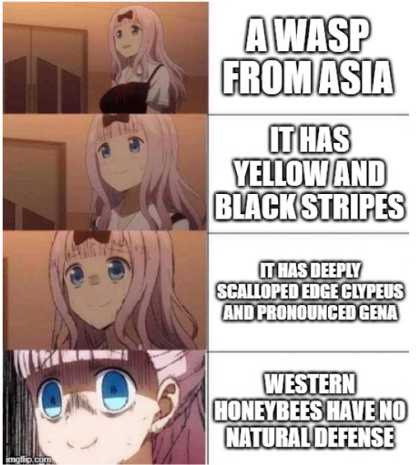 Brandon S tweet media