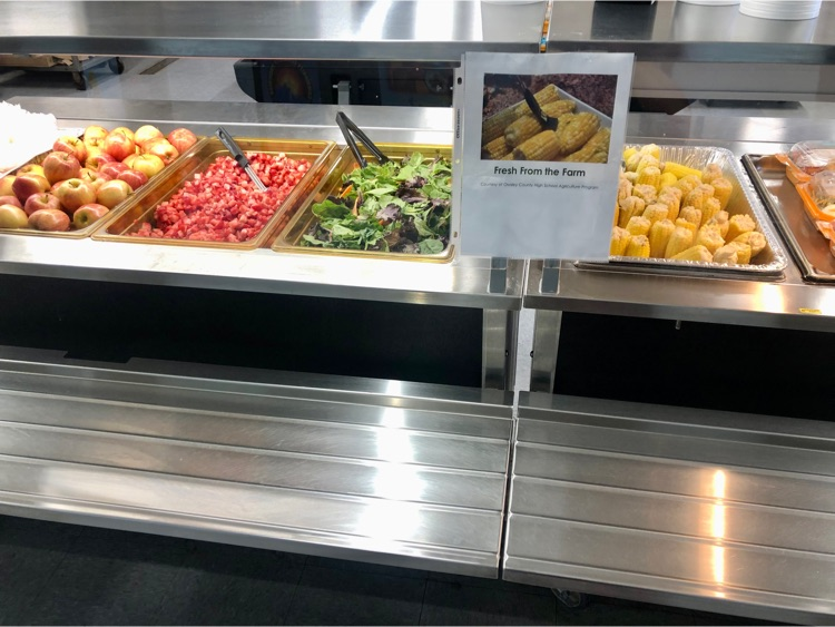 Owsley Co. Schools tweet media