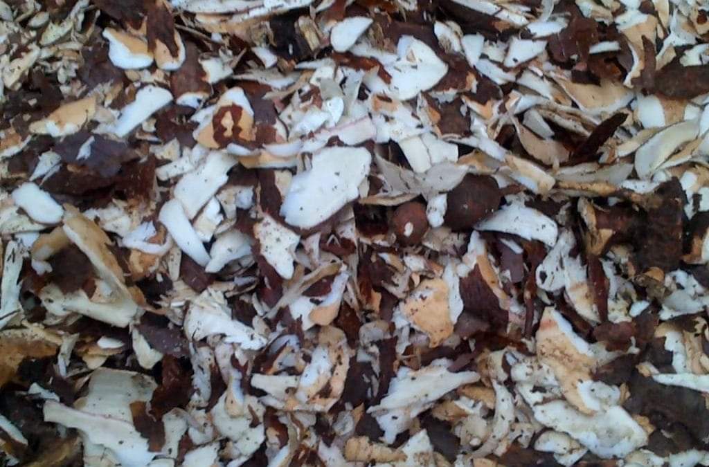 Nous allons travailler ensemble à dynamiser l'économie des femmes tout en préservant l'environnement grâce à l'adoption du biogaz comme alternative au bois de chauffage.