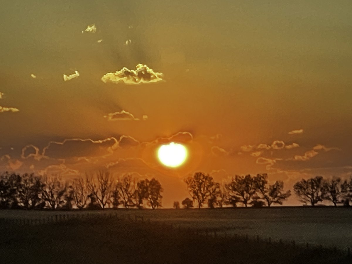 🎨✨ Wanna spice up your digital gallery? Our NFT art collection has more flavor than a spicy taco on a roller coaster! 🌮🎢 Get ready to feast your eyes on mind-bending creations that'll make your taste buds tingle. 🎉 #NFTArt #DigitalGallery