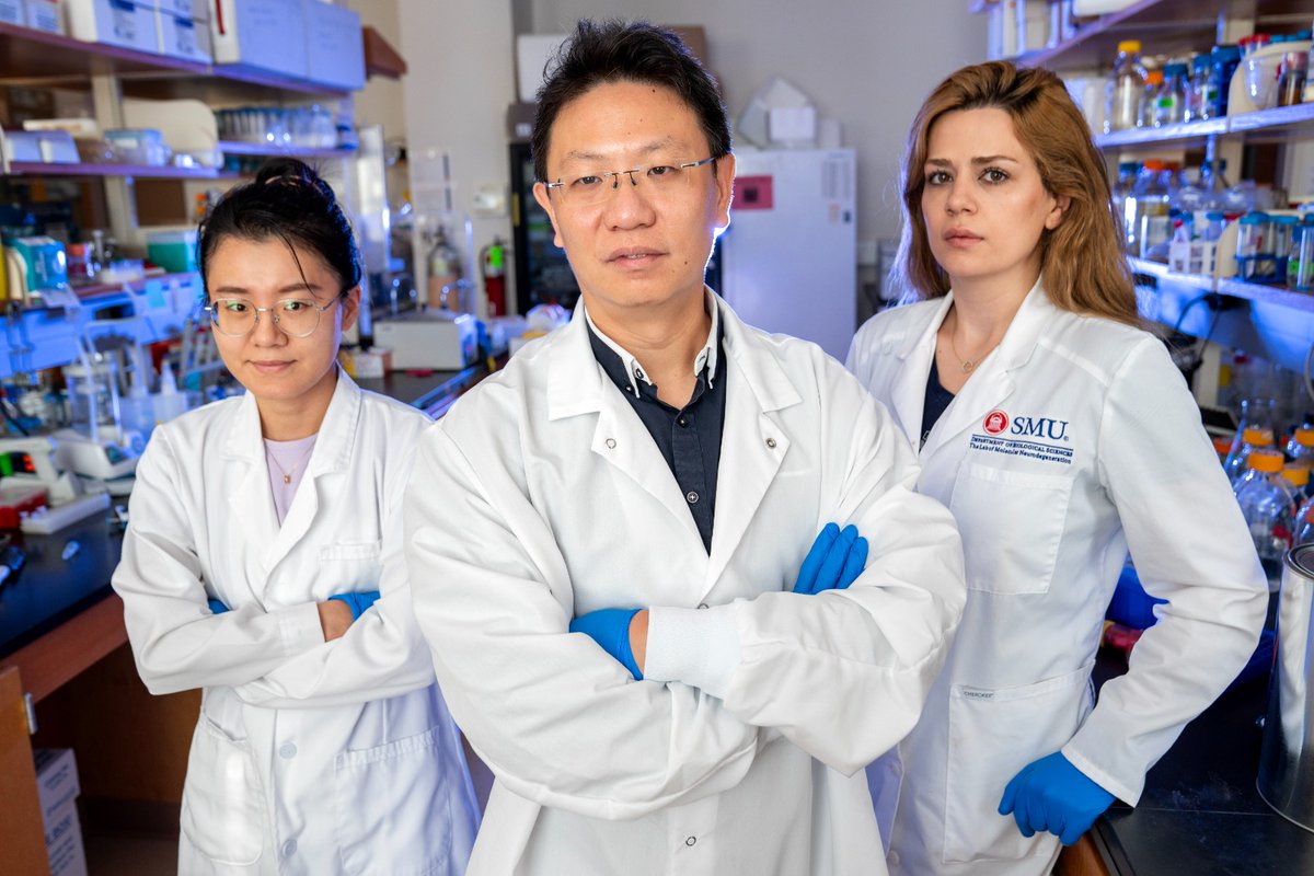 ZhihaoWu_SMU_Drosophila tweet media