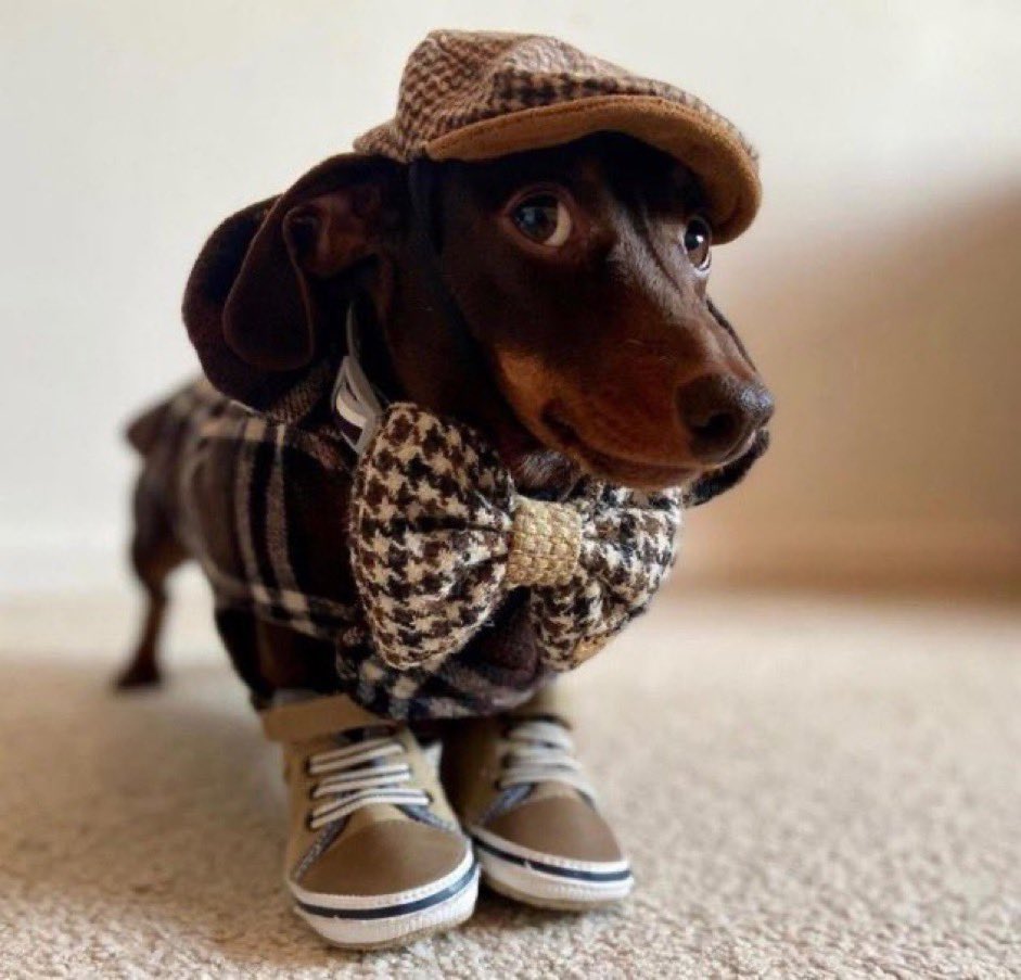 Leodeddz^ tweet media