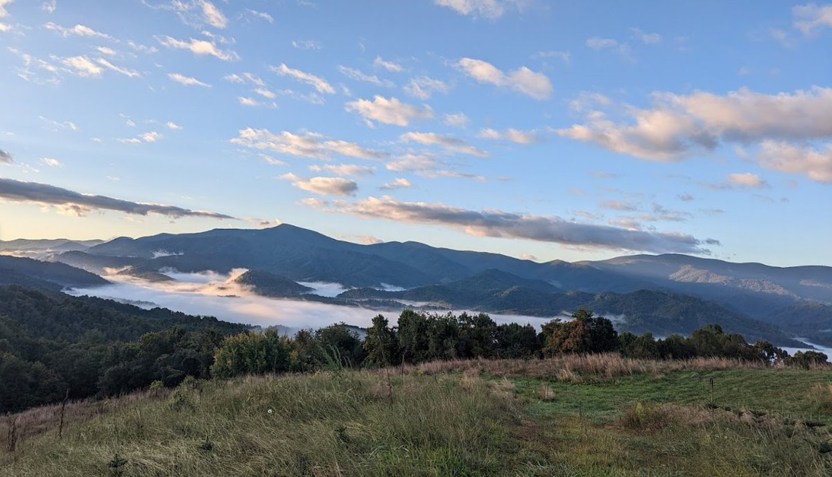 John Kelly tweet media