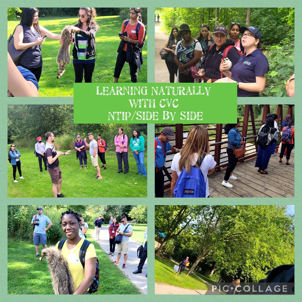 Allison Cunningham tweet media