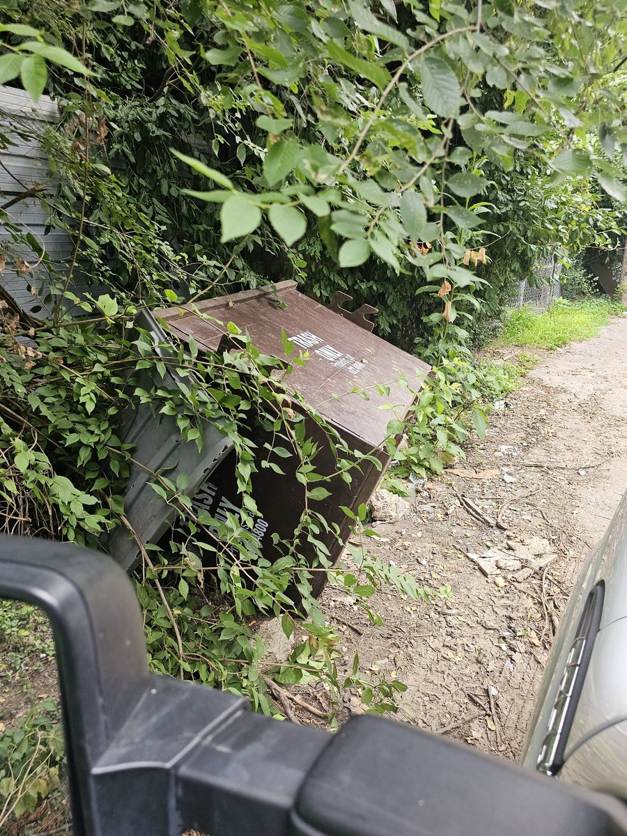 darren_buckner's tweet photo. @stlcsb this is the alley between Lotus Ave and Cote Brilliant between Kingshighway and Union. At least 6 cans turned over or in the air. Helping to add to the already blighted alley and blocks. Entire alley is a mess with branches scratching up cars.  #horrible #blight #STL https://t.co/z0Los1Krei
