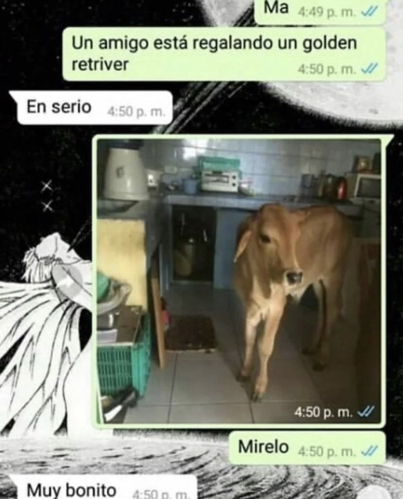 Muy bonito