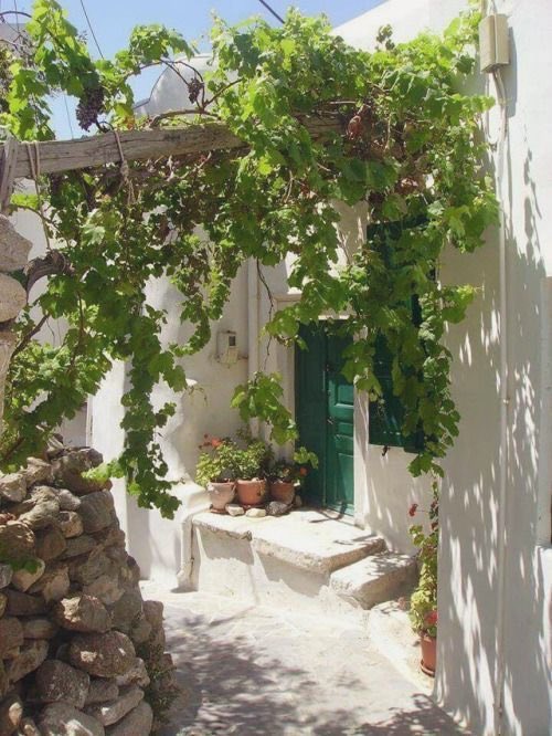 mediterraneanAE's tweet photo. https://t.co/yxyMHY5e2B