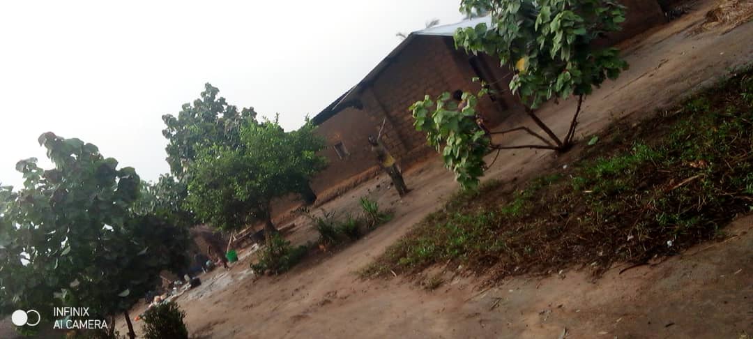 C'est le bilan provisoire d'une pluie accompagnée d'un ouragan, qui vient de s'abattre ces après-midi ici dans la commune de Kasongo. Les instituts catholiques : sainte famille, et saint joseph par terre, l'e.p. kaumo et bien de maisons d'habitation de la population foutues.