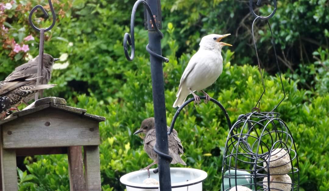 Janet Mary tweet media