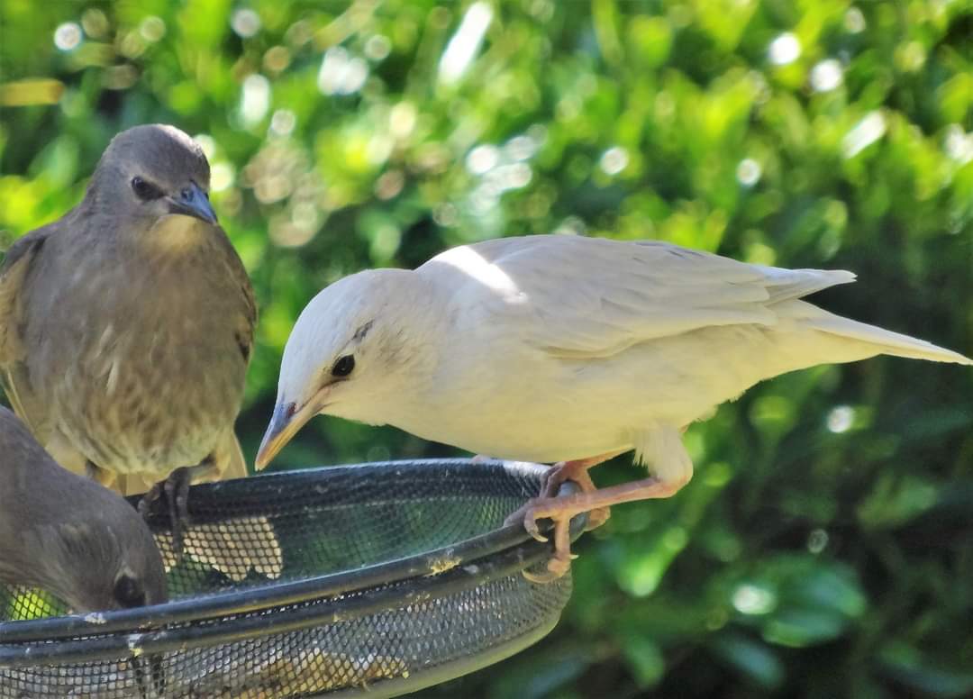 Janet Mary tweet media