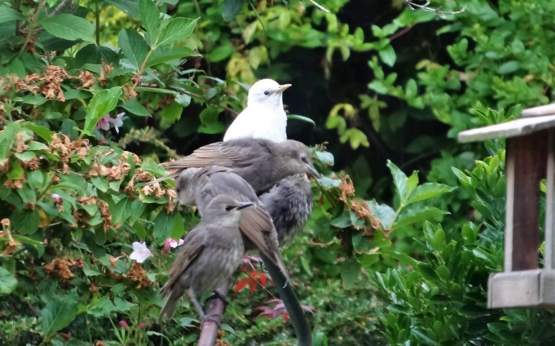 Janet Mary tweet media