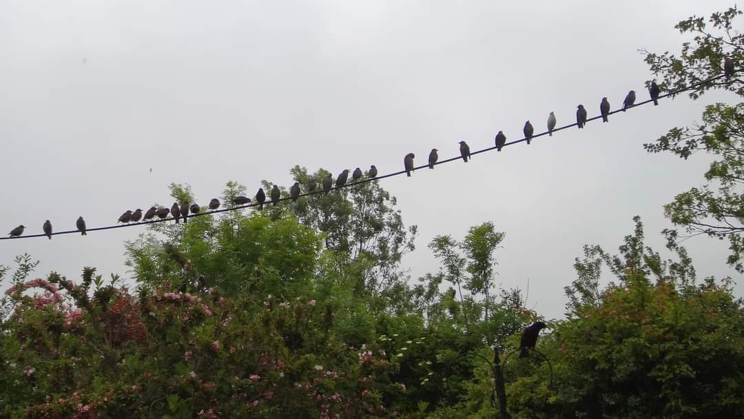 Janet Mary tweet media