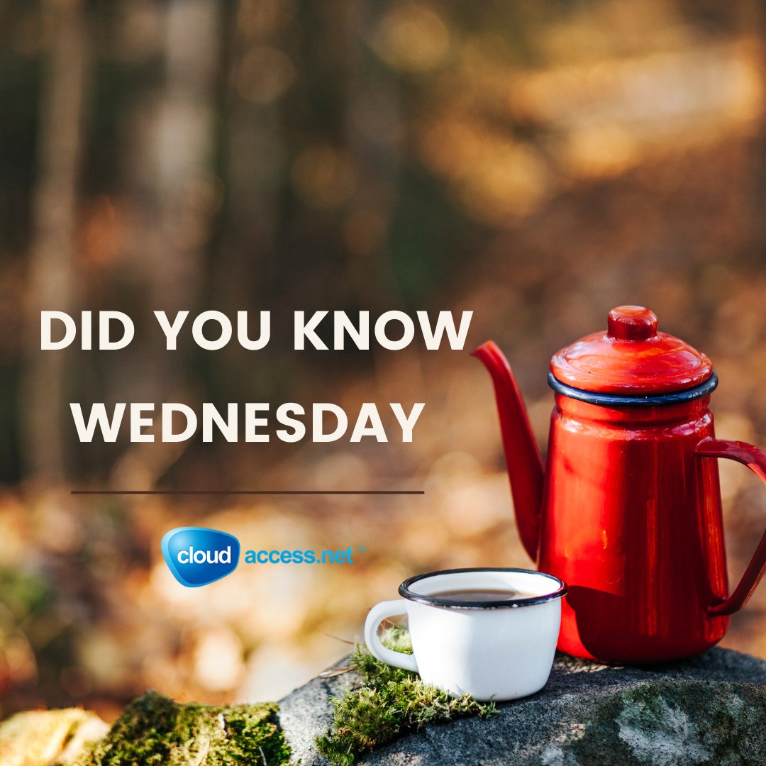 Did you know that there are different types of web hosting? From shared hosting to dedicated servers and cloud hosting, there's a hosting solution for every need and budget. Explore the hosting universe and find the perfect match for your website! #WebHostingFacts #HostingOptions