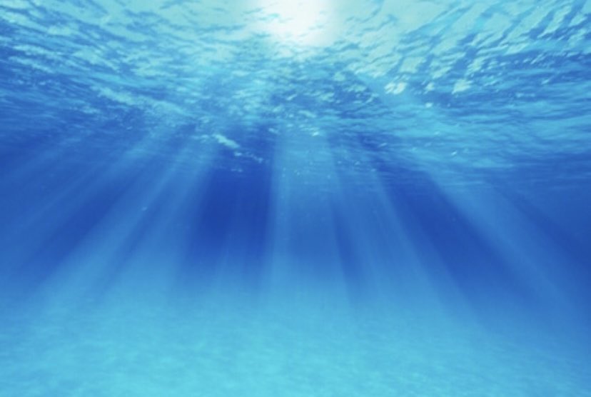 Cannaveena Sayoko tweet media