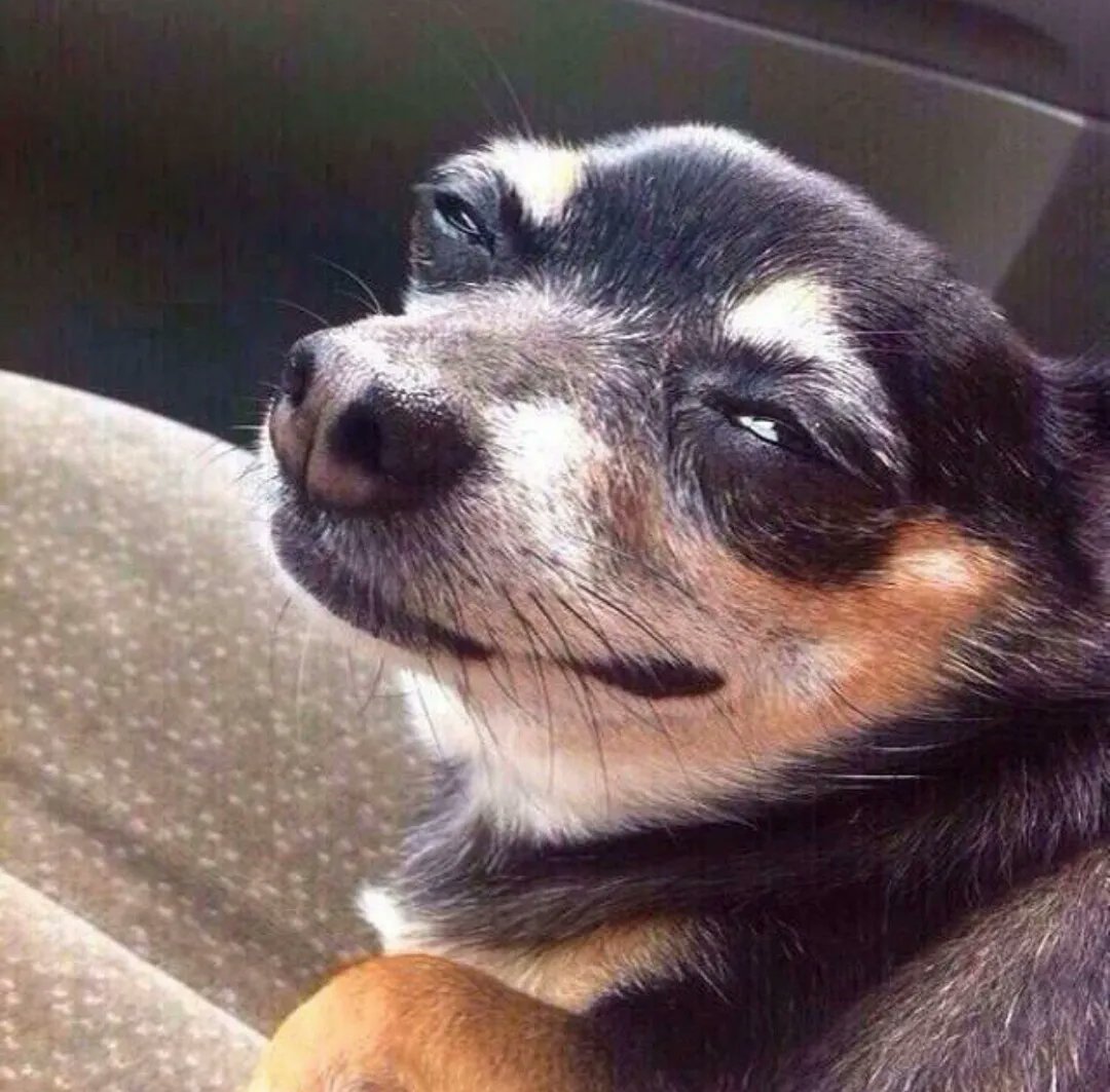 Do I look high?

“Na you’re straight”

Me: