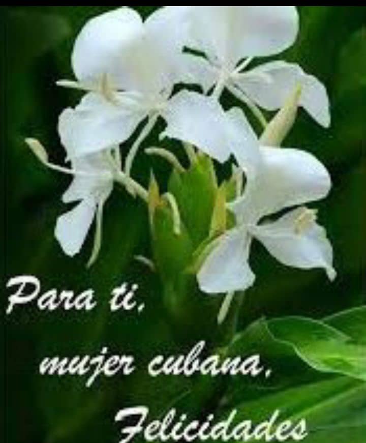 La mujer lucha por un mundo mejor,por un mundo donde la sociedad sea igual,humana,libre y soberana.#MujeresEnRevolucion #CubaPorLaVida #CubaCoopera <a href="/DcMedica/">Misión Médica Cubana en el Distrito Capital</a> <a href="/ErickMendezRod3/">ErickMendezRod</a>