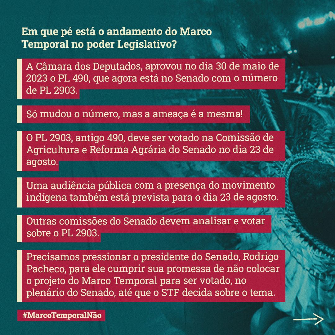 wwfbrasil's tweet photo. #MarcoTemporalNão #PL2903Não | O PL2903 é o antigo #PL490! A ameaça continua e a mobilização é urgente e necessária. https://t.co/bGau5MkKg4