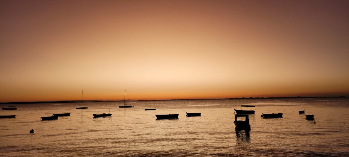 BaianoNerd tweet media