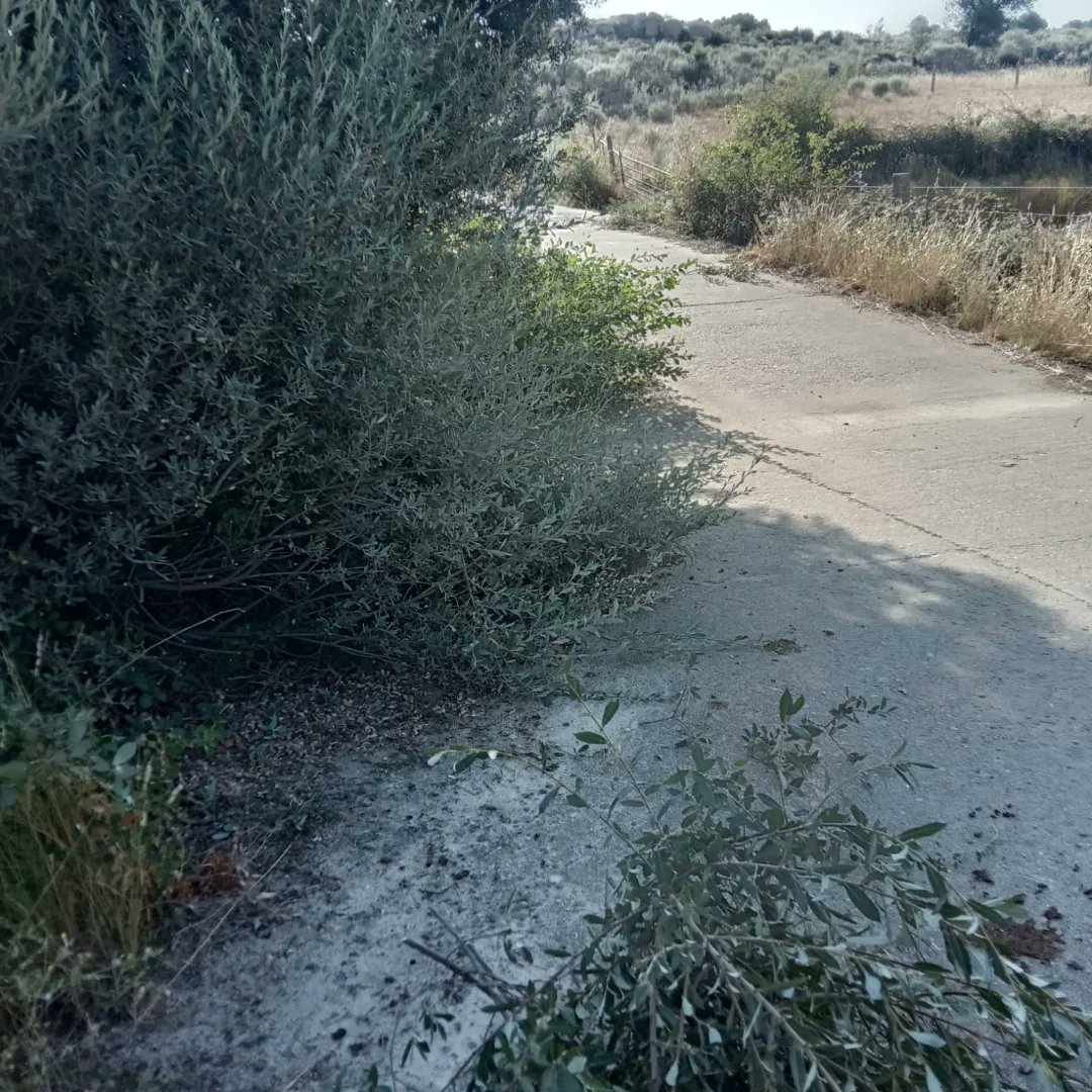 Los operarios de los ayuntamientos, siguen trabajando con mucho calor, acondicionado los caminos para el buen desarrollo del Triatlón. Hay que agradecer mucho su trabajo, teniendo en cuenta las altas temperaturas que tenemos estos días #triatlón #ramajería #conectandopueblos