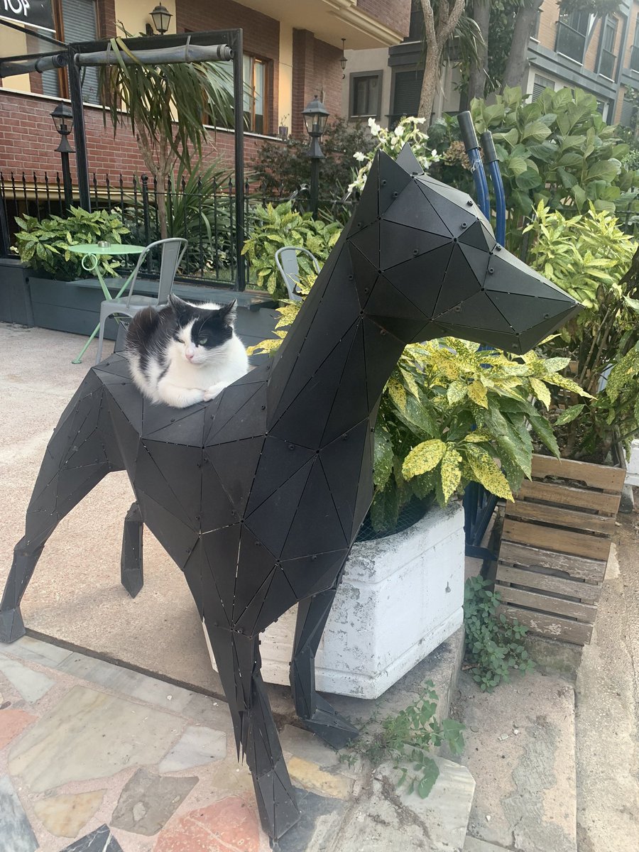 Ah bir de köpek heykelinin üstünde dinlendiğini bilse…🤣