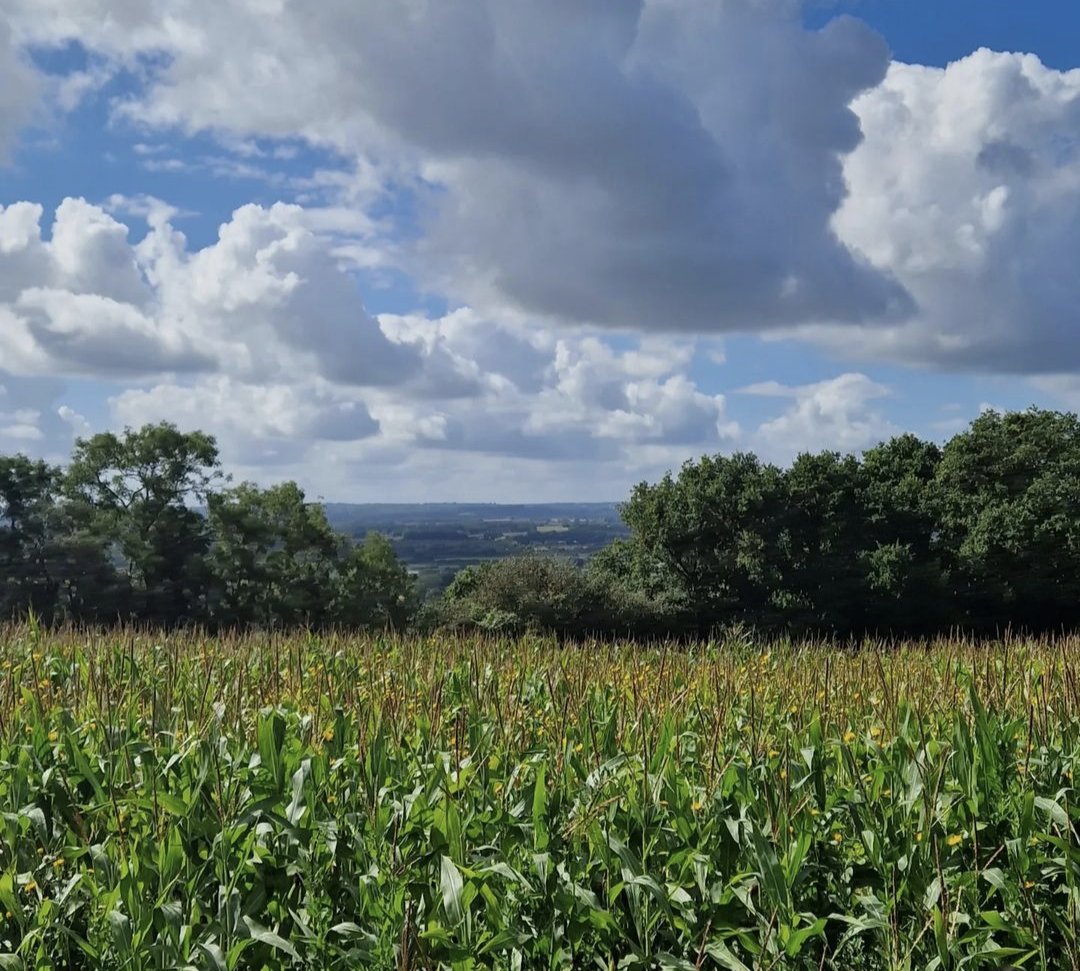 hiiker__'s tweet photo. Repost from @kentishrambles [ig]: 
8 mile stroll and beer 🍺 ....yes please!
Lovely to meet Jane and Archie on this walk ❤️ Thank you for your patience whilst we learnt the new app!
#kentwalks #walkingkent #groupwalk #hiiker #community https://t.co/PUt0HGZZ8e