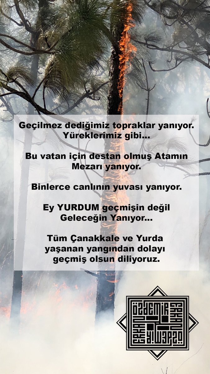 Erkan Özdemir (@erkanozdemir10) on Twitter photo 