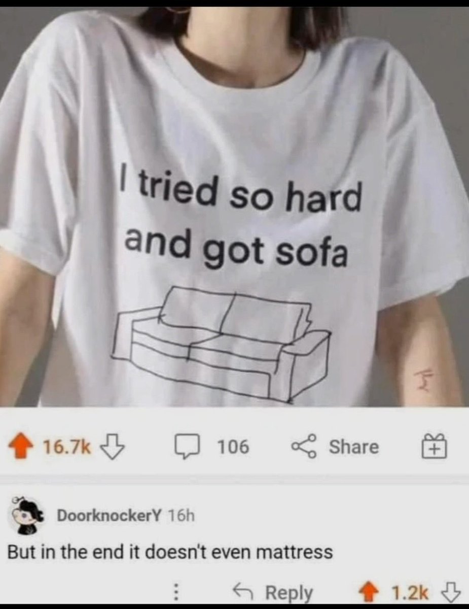 Shepster Thoughts tweet media