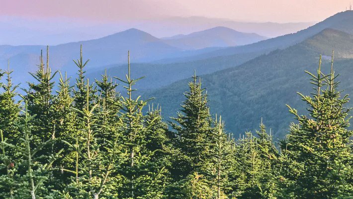 ConservationTrust4NC tweet media