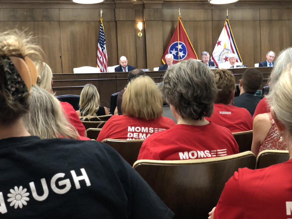 Despite House Republicans having our volunteers and other gun safety activists removed from a committee hearing yesterday, our Tennessee volunteers are back at the statehouse for the third day of a #TNSpecialSession on public safety.

We will be a constant presence until