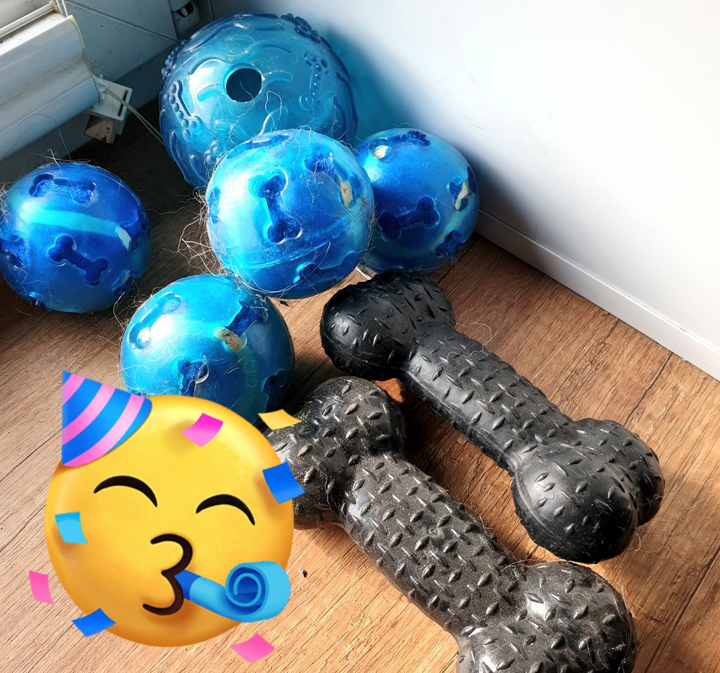 🐕 Luna

Boooooaaahr, ich kann es kaum glauben - ich habe einen Schatz gefunden 🥳

Herrchen und Frauchen haben wie verrückt im Wohnzimmer rum geräumt und da war dieser Schatz versteckt *ist im Spielzeugparadies 😍*