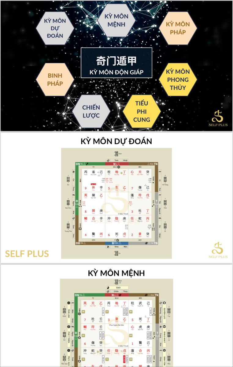 Trần Thái Bình tweet media