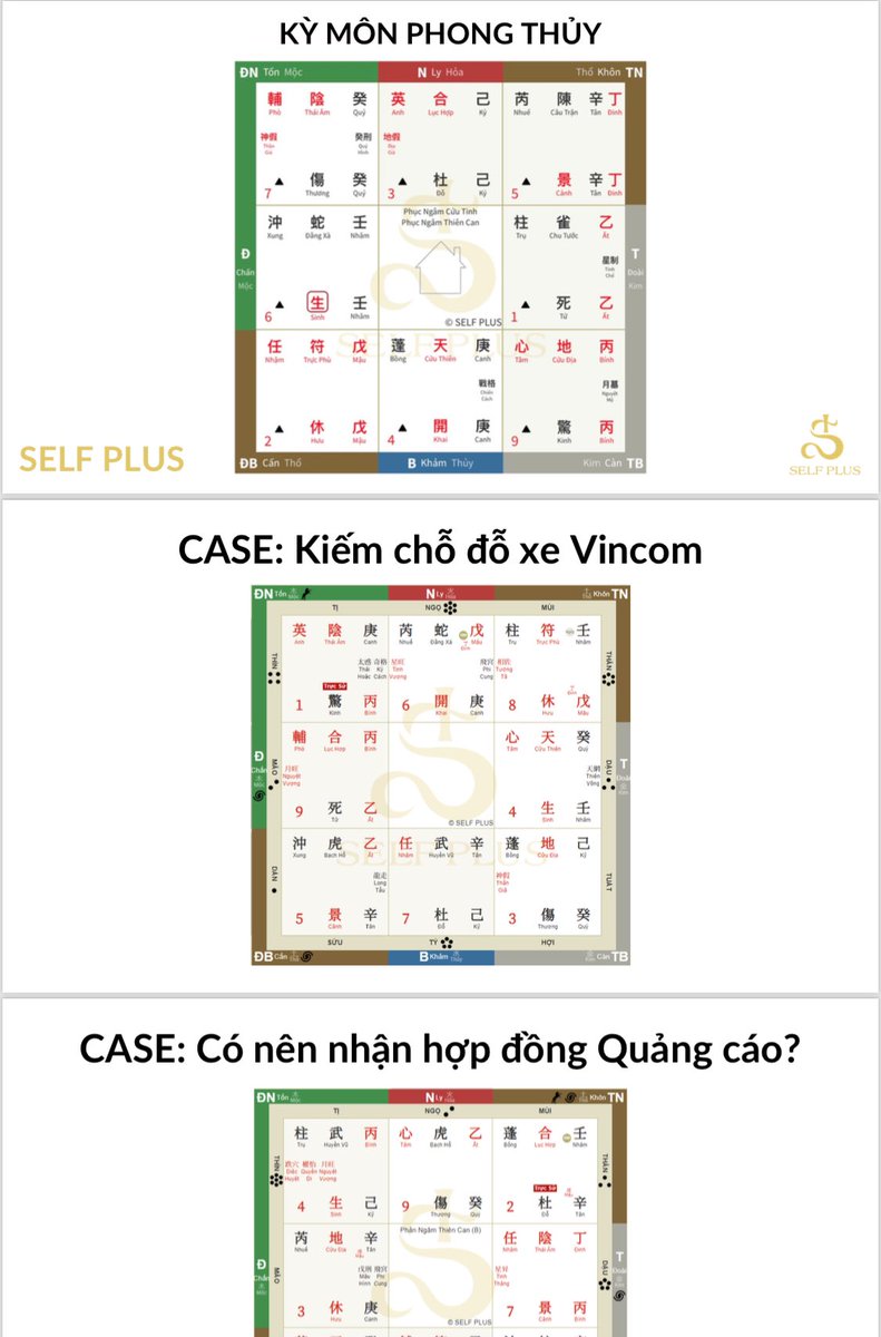 Trần Thái Bình tweet media