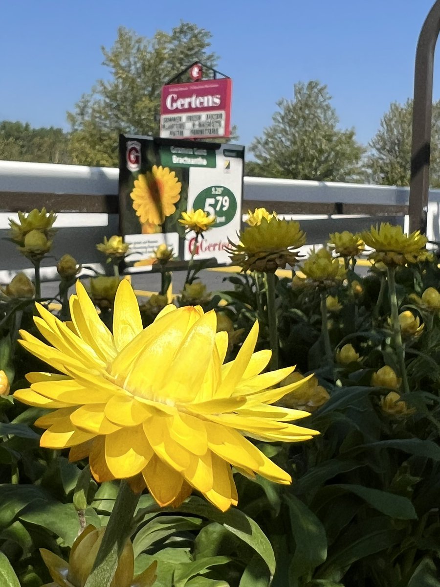 Jason DeRusha tweet media