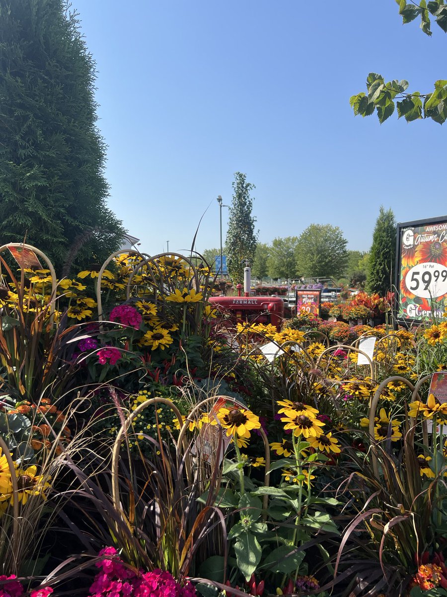 Jason DeRusha tweet media