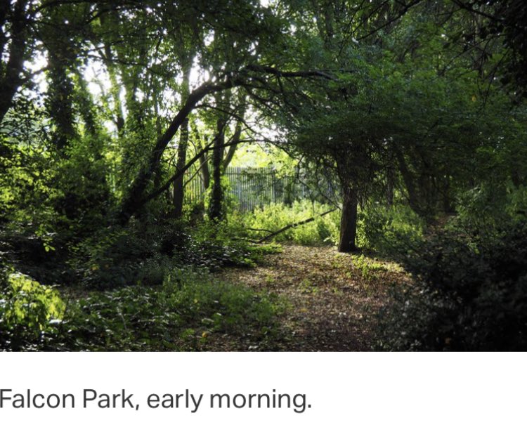 Your August update from the Battersea Society Open Spaces Committee. #Summer in #Battersea. Read it here: batterseasociety.org.uk/open-spaces-bl…