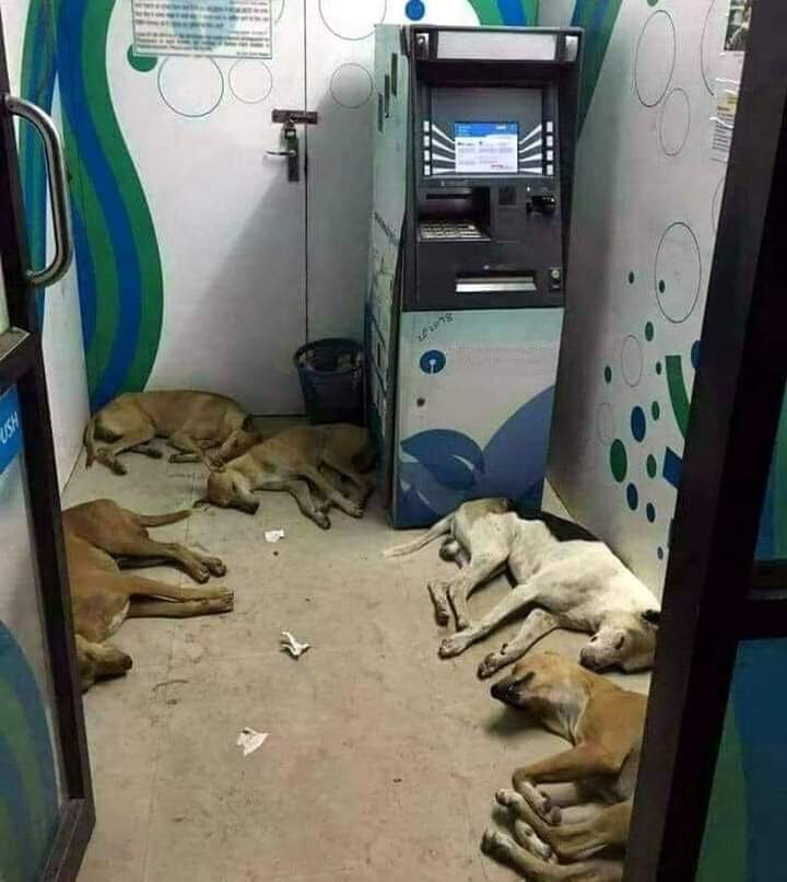 UllahRaikoti's tweet photo. پاکستان میں ATM میں وارداتوں کی روک تھام کے لیے نیا سکیورٹی نظام متعارف کرا دیا گیا ہے 😂 https://t.co/WZvQ2TCAHw