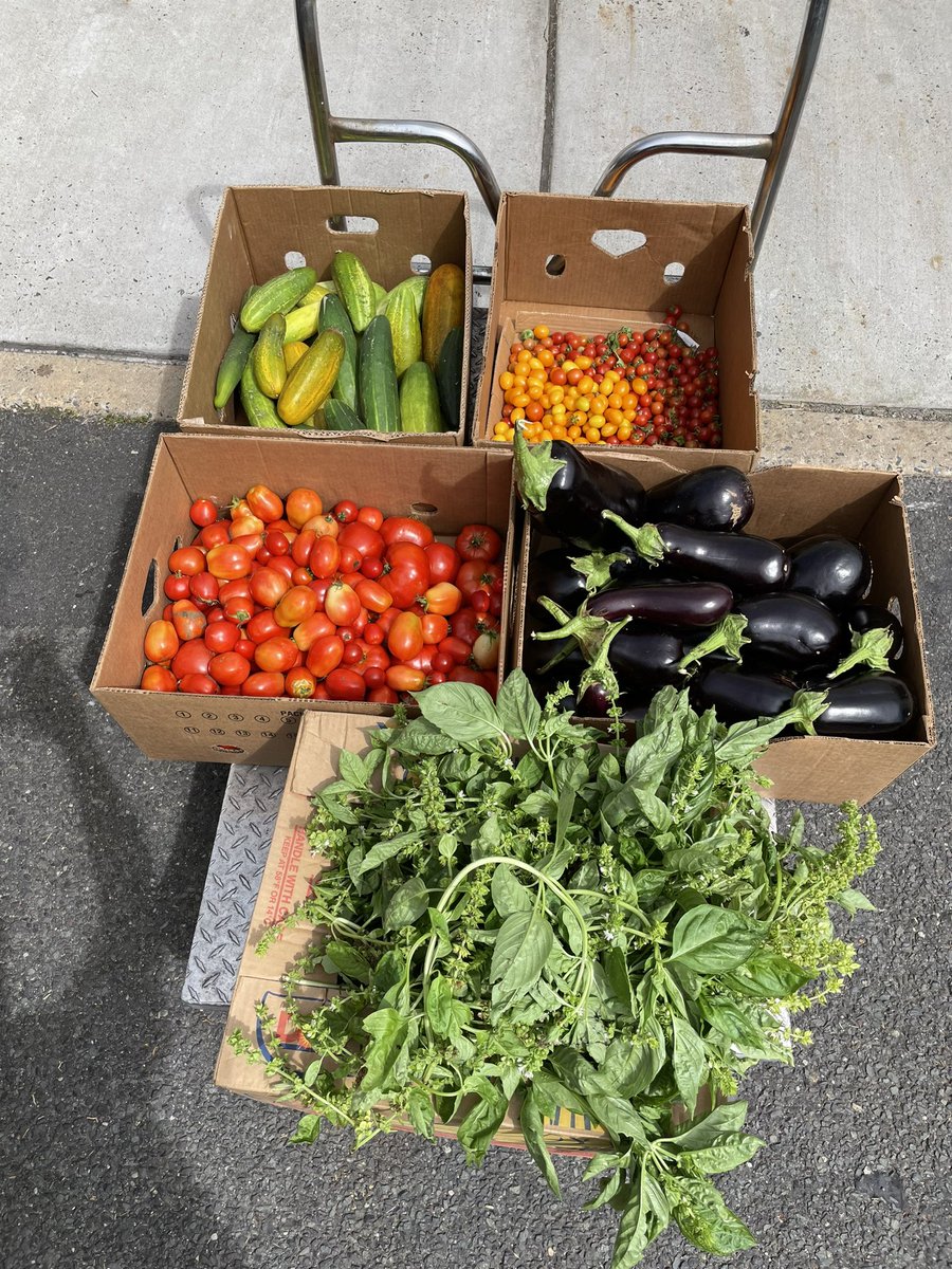LBPS Studio & Sustainability (@lb540studio) on Twitter photo Just dropped off some freshly harvested produce (98 lbs!!) to the wonderful folks at <a href="/FulfillNJ/">Fulfill</a> from the <a href="/LBpublicschools/">Long Branch Public Schools</a> gardens! Believe it or not, this is considered to be a small harvest this week. <a href="/greener_glc/">GLC GREENER</a> <a href="/jlong1990/">Jennifer Long</a> <a href="/TerranovaVito/">Vito J Terranova</a> Just dropped off some freshly harvested produce (98 lbs!!) to the wonderful folks at <a href="/FulfillNJ/">Fulfill</a> from the <a href="/LBpublicschools/">Long Branch Public Schools</a> gardens! Believe it or not, this is considered to be a small harvest this week. <a href="/greener_glc/">GLC GREENER</a> <a href="/jlong1990/">Jennifer Long</a> <a href="/TerranovaVito/">Vito J Terranova</a>
