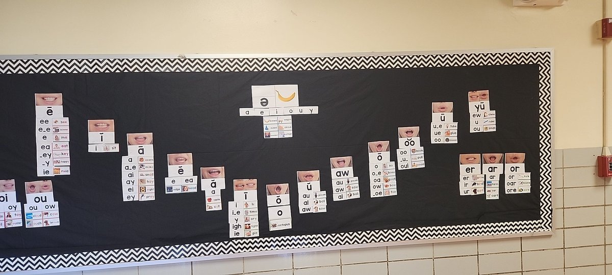 Elmwoodlibrary's tweet image. LRTRS training came in handy! @BCPSLMP @elmwoodes @BCPS_ELA  #LETRS #abcs😉📚🦅💚