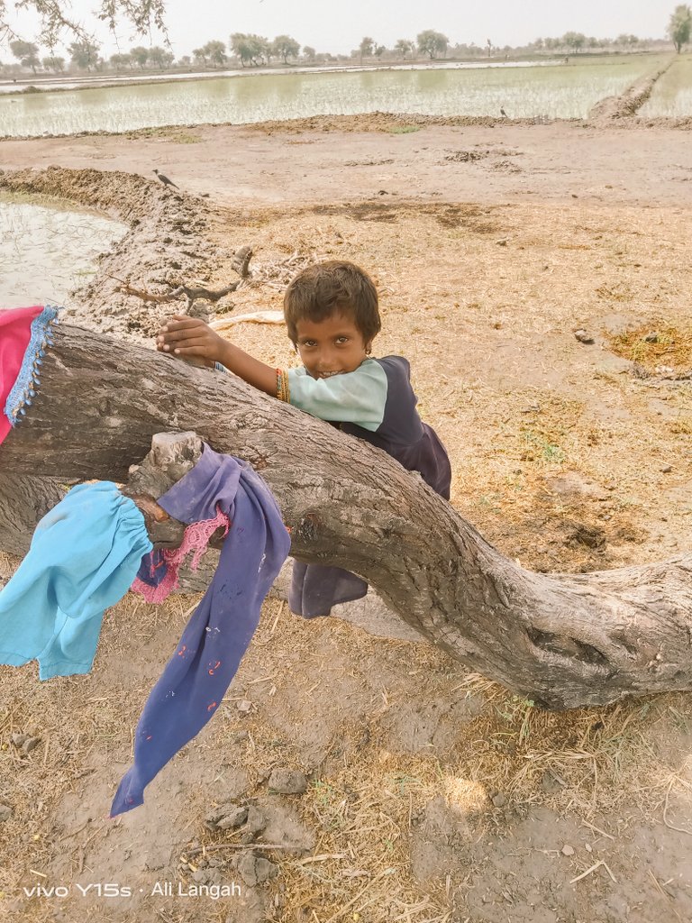 Ali_Langah_'s tweet photo. درگاھن تي ڏنل چندي جا پئسہ درگاھن تي ويٺل ۽  اوقاف کاتي جا ڪرپٽ آفيسر ۽ اسٽاف کائي وڃن ٿا ان کان بھتر آ انھن پئسن مان غريبن جي راشن ۽ غريب  ٻارن جي تعليم پرائڻ ۾ مدد ڪيو ... https://t.co/MAnCn49FfA