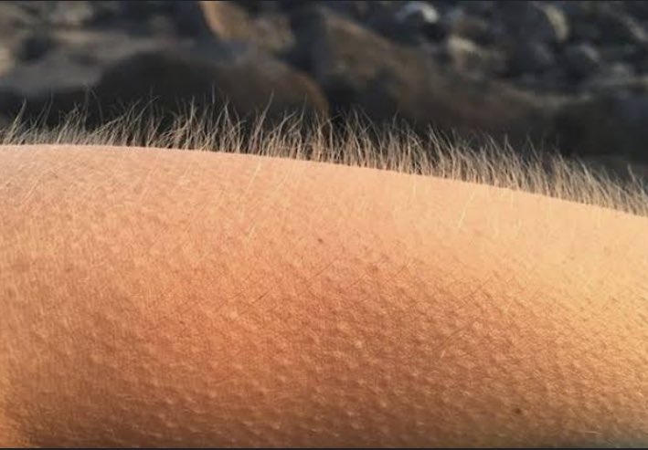 Vestelin reklamını her gördüğümde ben