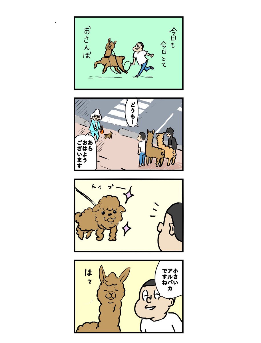 アルパカ研修日誌
7話 類似 