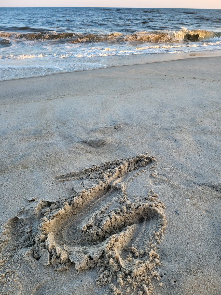 PossBeans's tweet image. Zoos on the beach