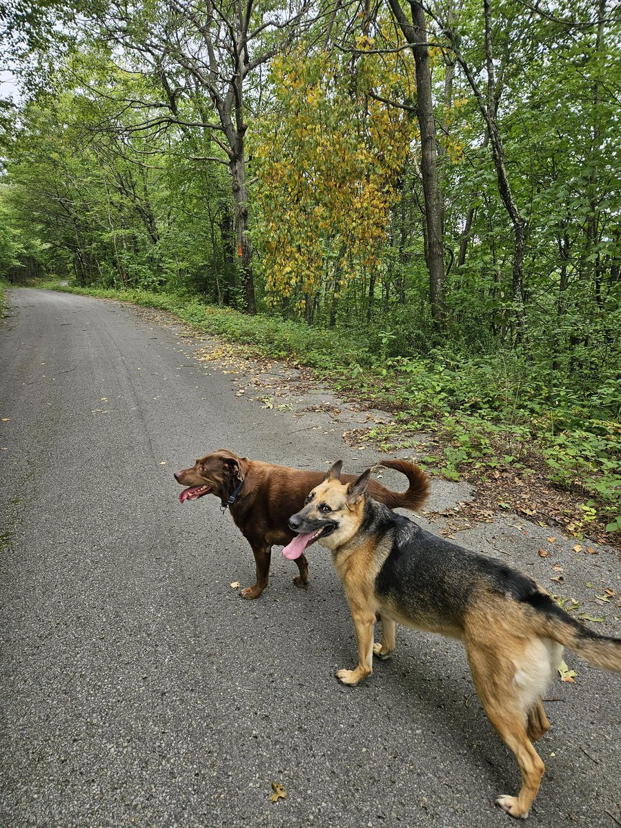 Todd DeSeau (@todddeseau) on Twitter photo 