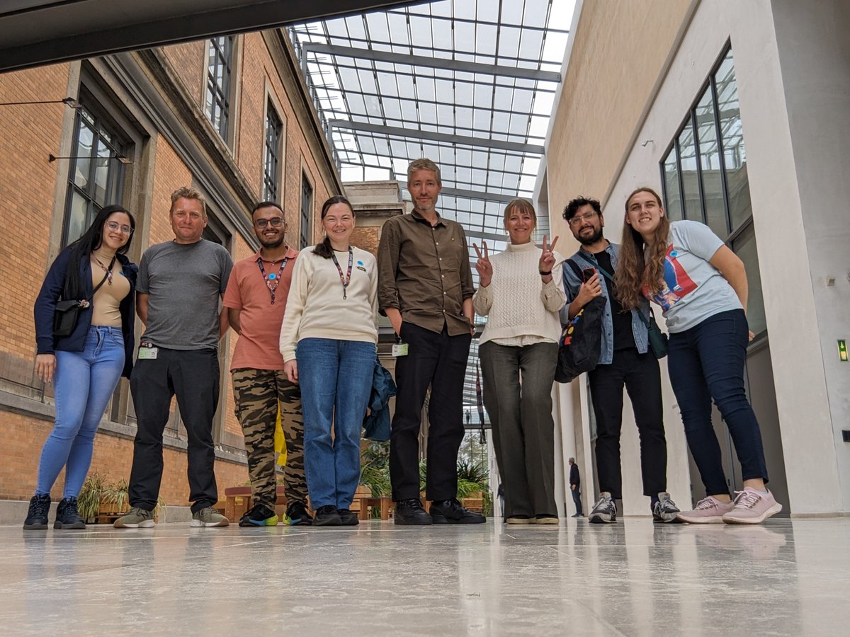 WordPress tweet media