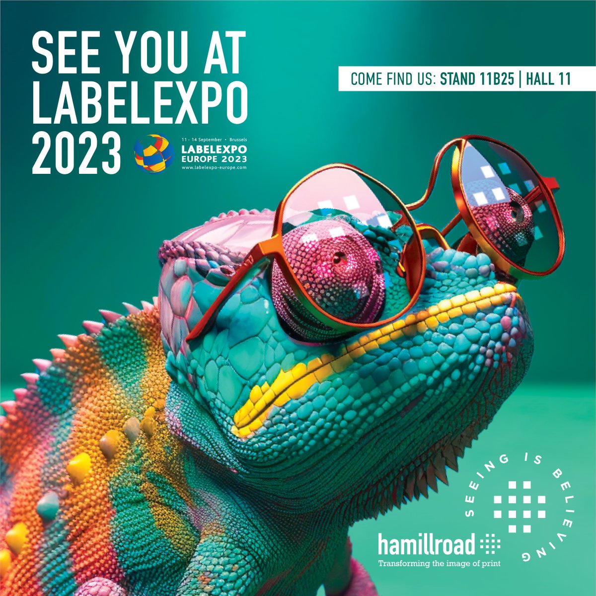 📣 Exciting news! Join Bellissima DMS at @labelexpo Europe 2023 in Brussels this September. Visit our Stand 11B25 in Hall 11 and discover the power of Bellissima DMS firsthand.
hamillroad.com/bellissima-lab…

#Labelexpo2023 #Labelexpoeurope