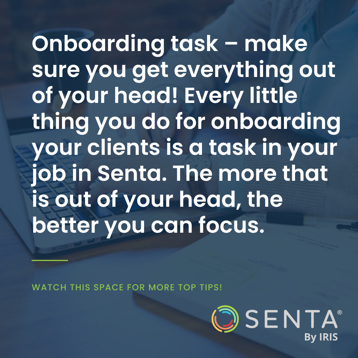 Senta By IRIS tweet media