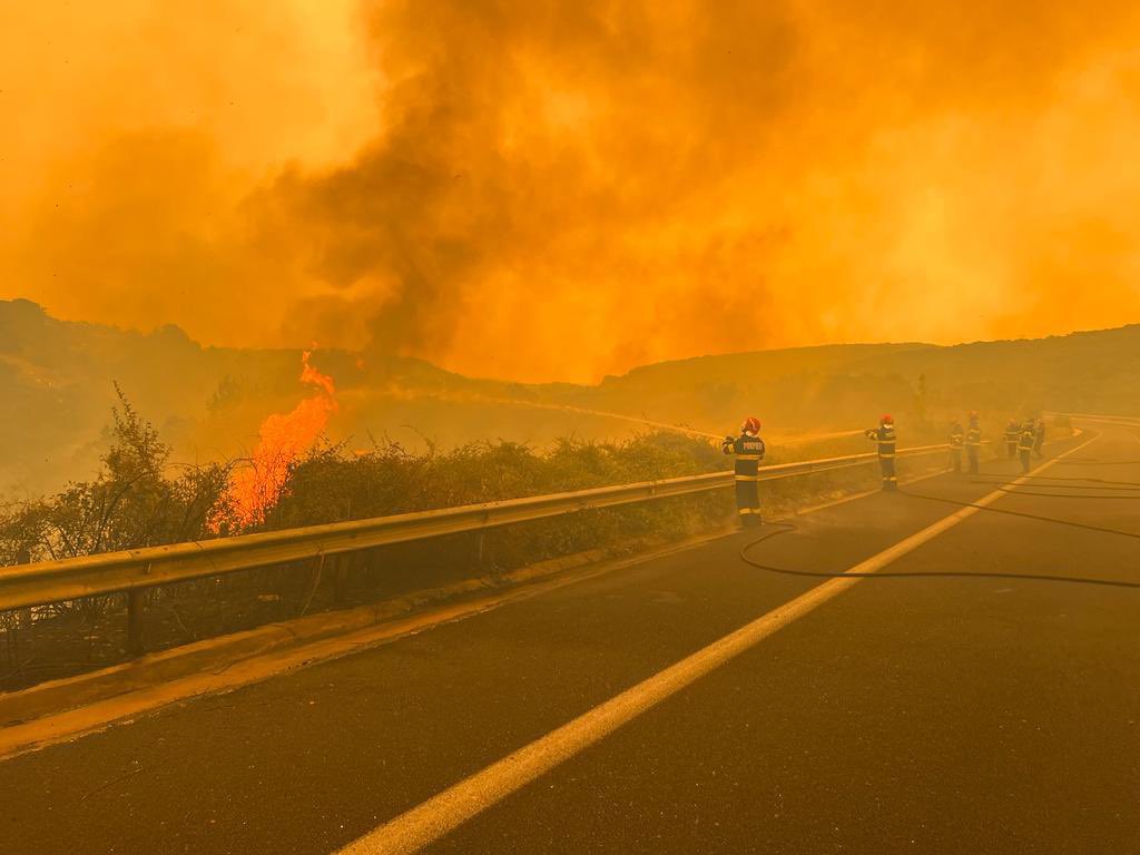 Greece is facing the worst wildfires since 2000.
 
In response, @eu_echo is sending 8 aircrafts, 40 vehicles, and 246 firefighters from 9 EU countries via the #EUCivilProtection Mechanism and #rescEU to help the Greek first responders on the ground.