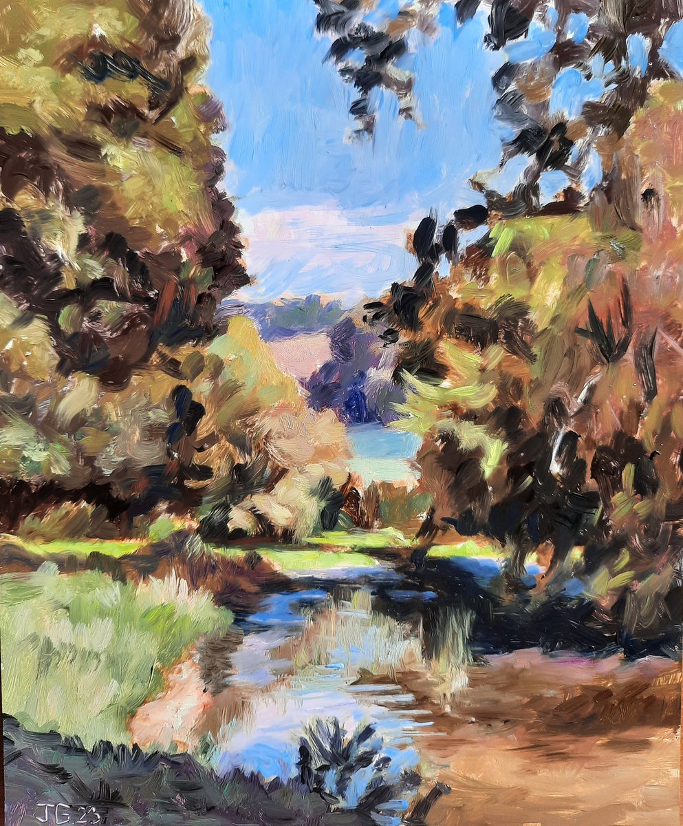 I was painting by horseshoe Island in Hughenden Park today. What a beautiful hot day. My dog Cookie spent her time cooling off the water. water. Oil on primed panel. 20 x 25 cm.
#hughendenpark #oilpainting #landscapeoilpainting #oilpaintingonpanel #chilternhills #pleinairpainting