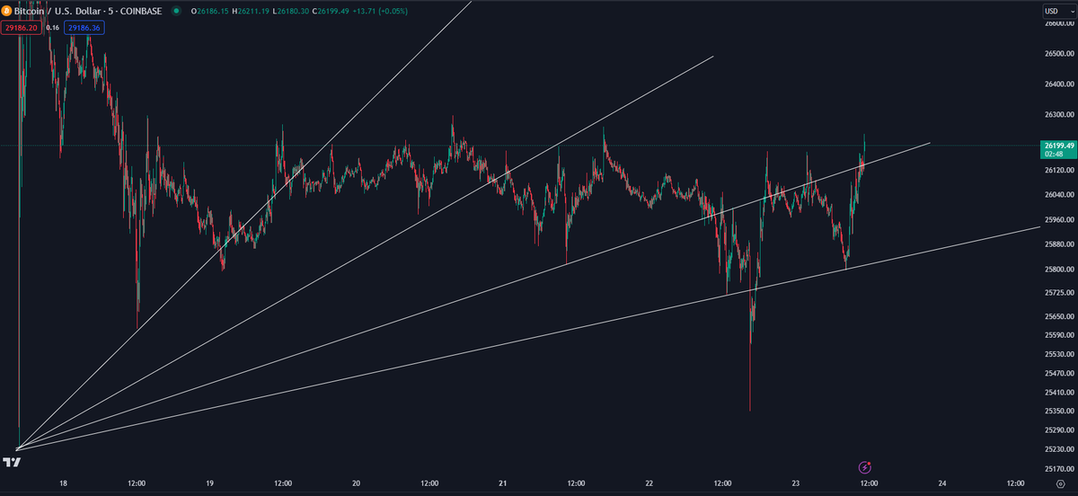 K A L E O tweet media